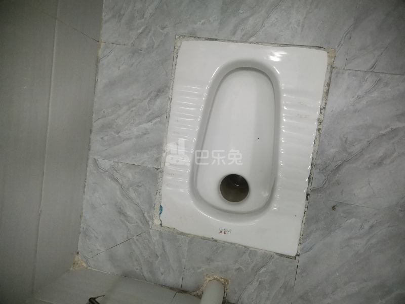 沙涌北五巷56号9636669卫生间图5