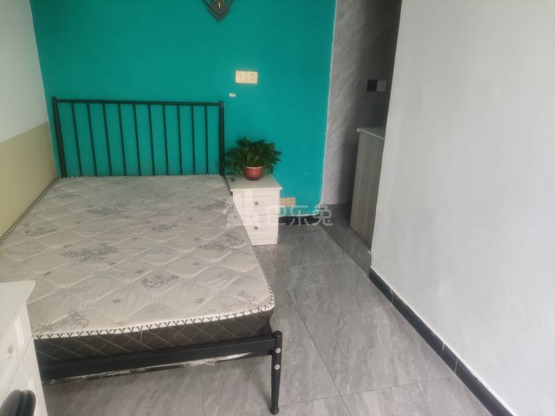 星火村陆家村（民房）9657539卧室图2