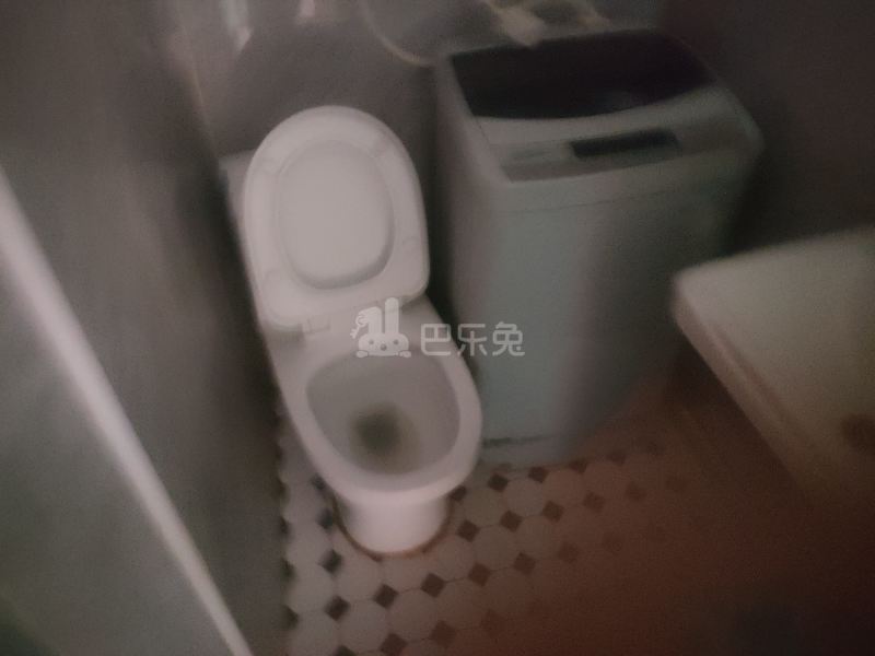 星火村陆家村（民房）9657539卫生间图4