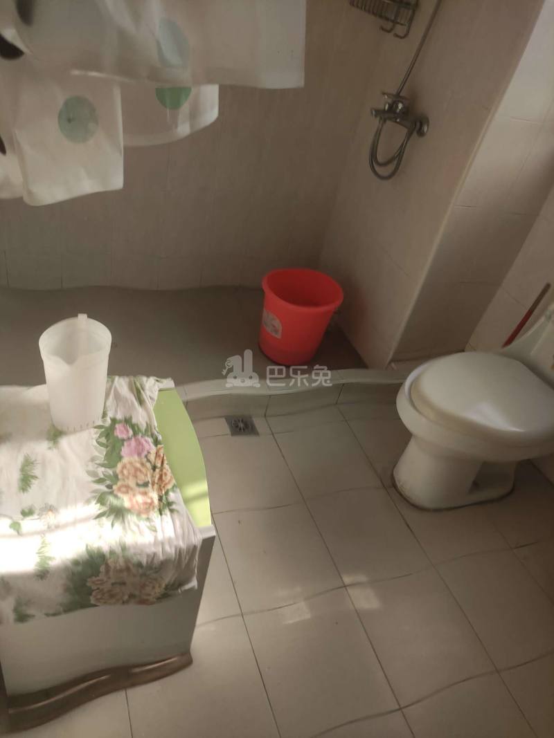 天翔小区（中原路10弄）9663228卫生间图6