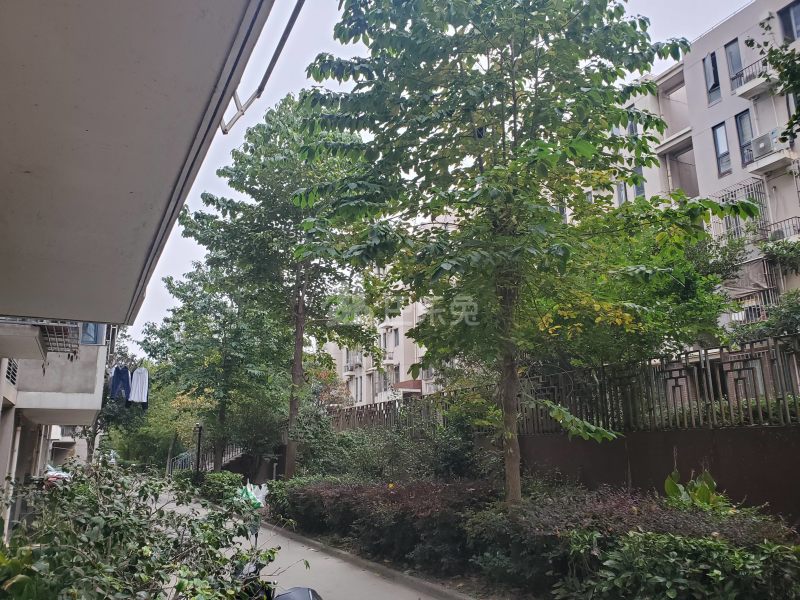 金鹤新城水岸秀苑9673750周边环境图6