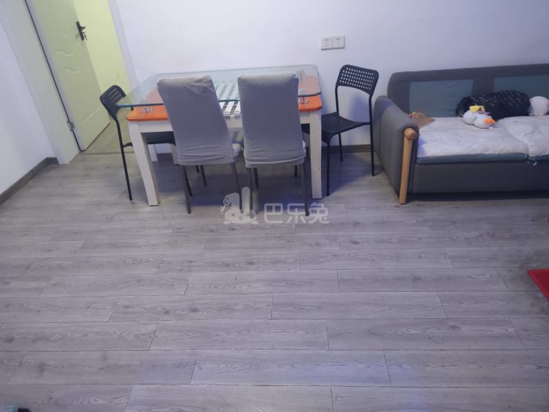 影园路345弄9679280客厅图4