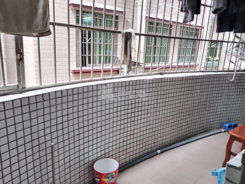 珠村祠前北街6号9710118客厅图8