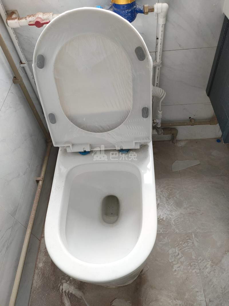 鳌鱼岗大街三巷24号9724064卫生间图3