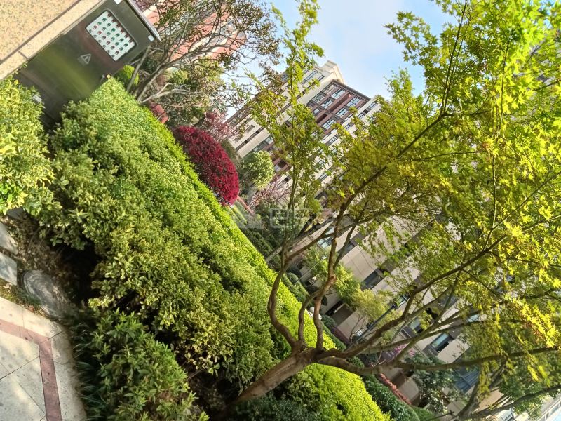 上实海上海白洋港城一期9727931周边环境图10