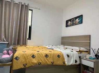 壹+青年社区 1室1厅1卫