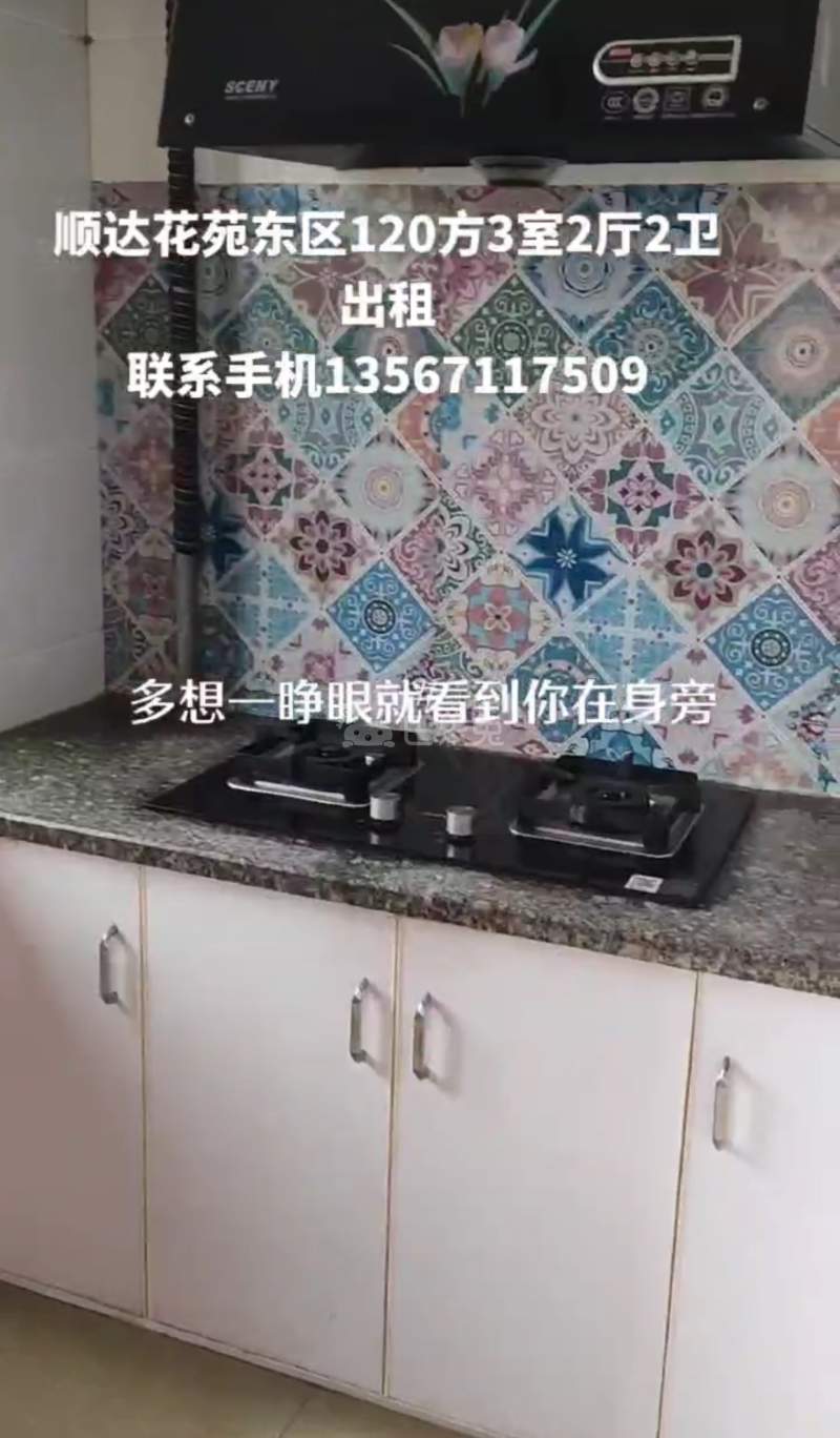 顺达花苑东区9753760厨房图7