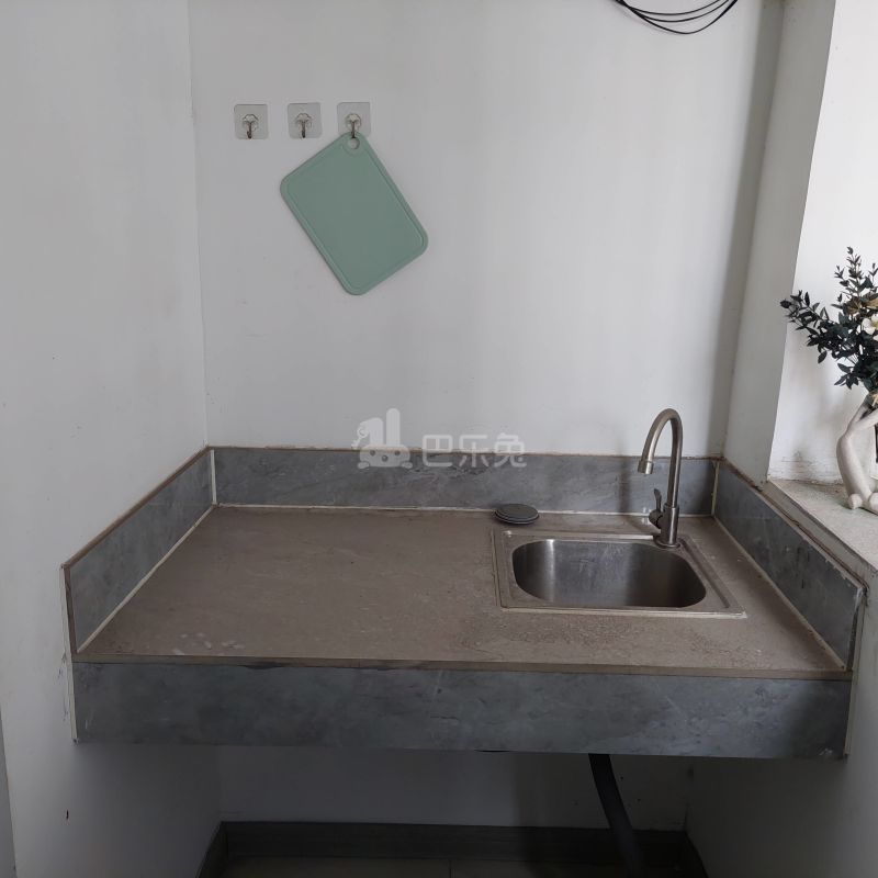 大石镇富石路298号9756698厨房图5