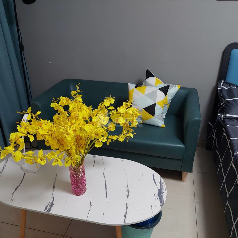 大石镇富石路298号9756698客厅图4