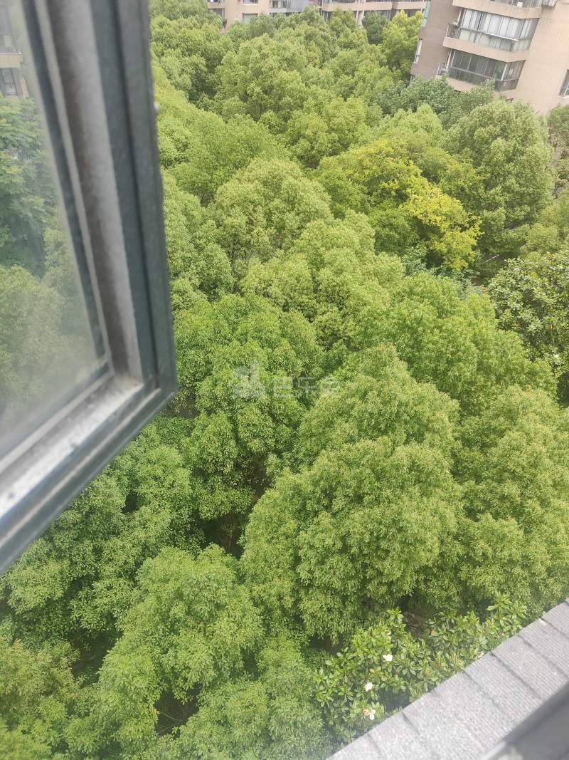 中环一号一期9765832周边环境图19