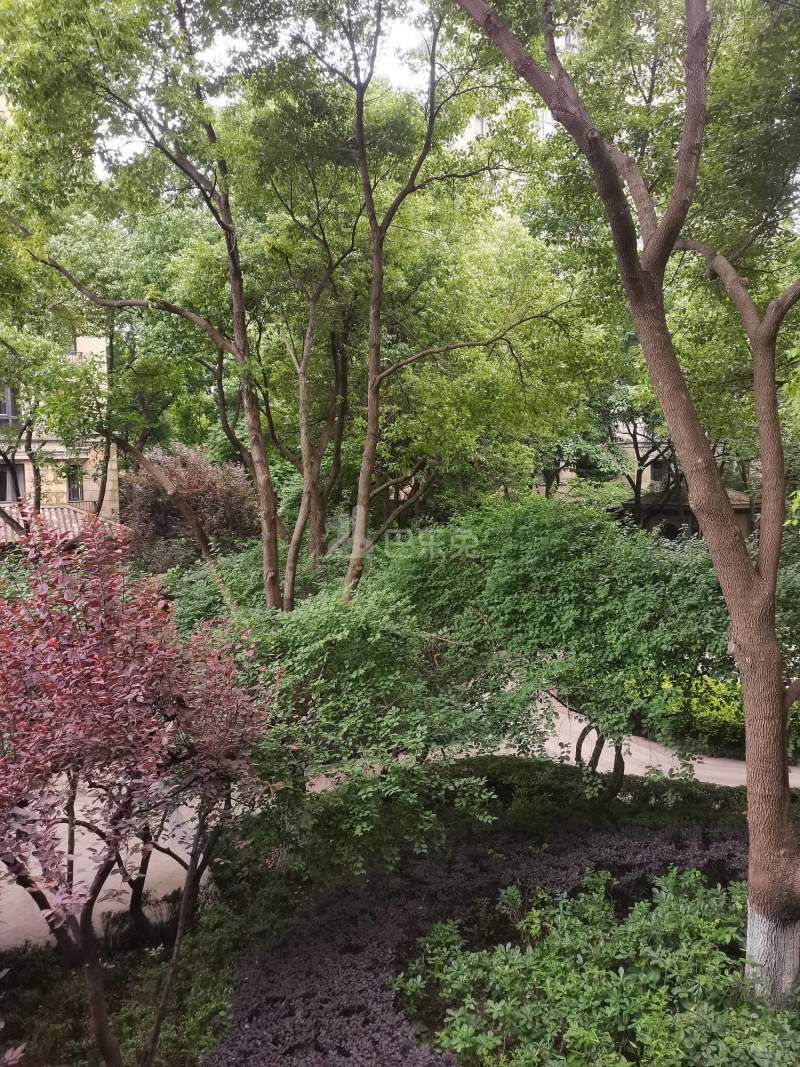 绿城蓝庭悦院9770010周边环境图9