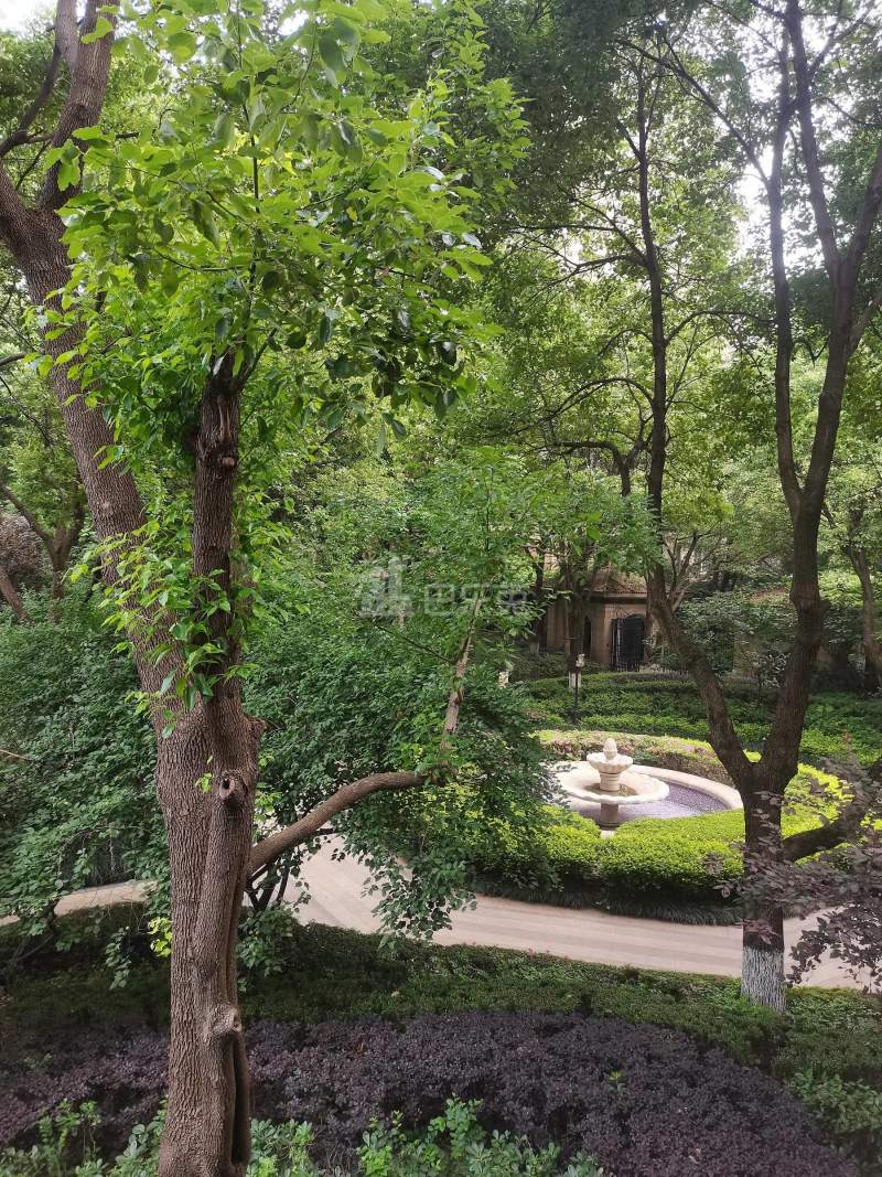 绿城蓝庭悦院9770010周边环境图7