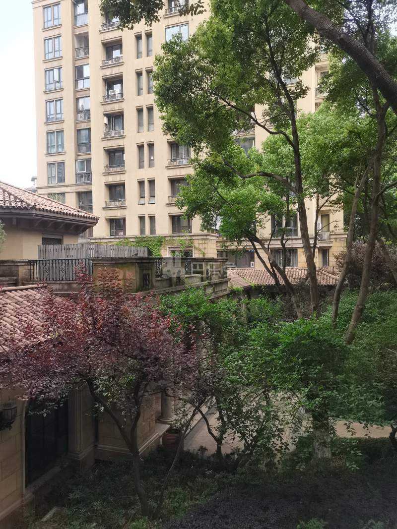 绿城蓝庭悦院9770010周边环境图8