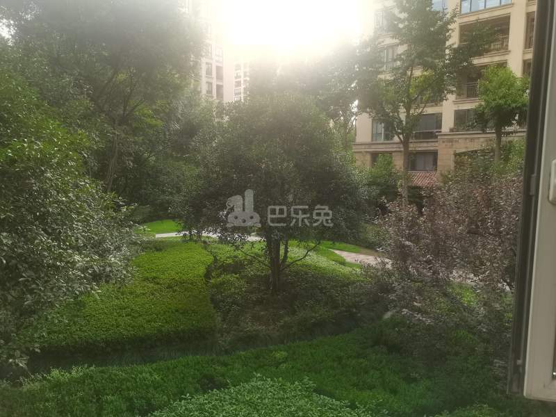 绿城蓝庭悦院9770009周边环境图8