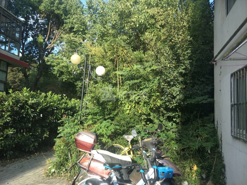 锦秋花园十期3740021周边环境图8