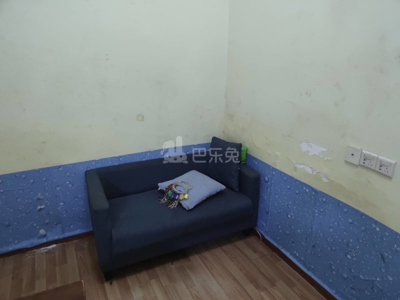 礼绿路一巷16号9785999客厅图3