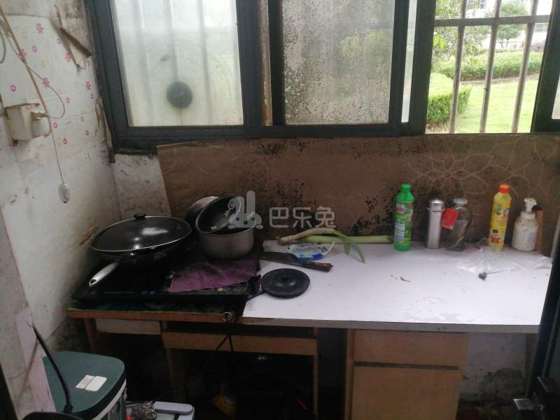 华泾绿苑2148606厨房图11