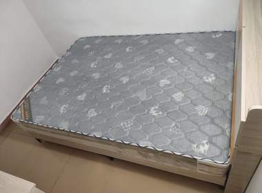 西岭街十五巷12号 1室1厅1卫