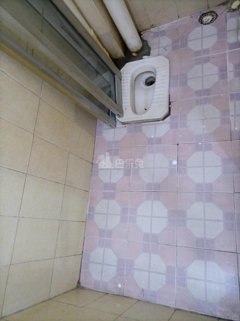 石溪天禄街西五巷13号9816166卫生间图5