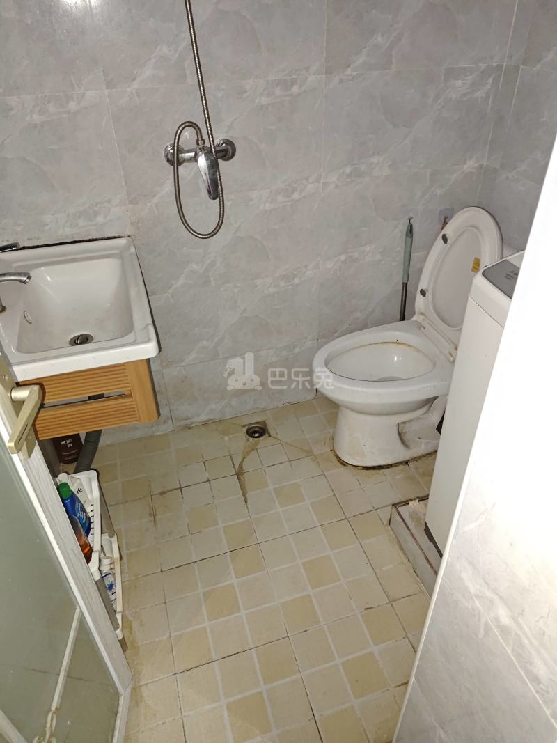 上实海上海白洋港城一期8644220卫生间图5