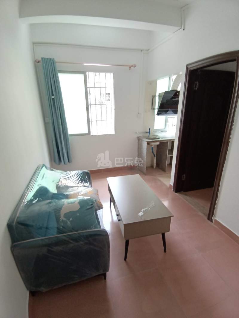 粤溪南安三巷13号9881973客厅图4