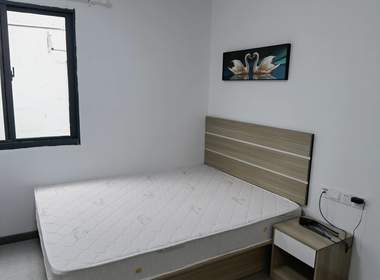 壹+青年社区 1室1厅1卫