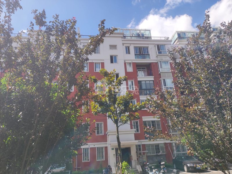 祥泰苑9894800周边环境图5