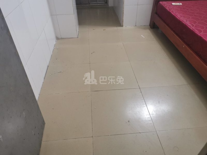 沙涌北龙船头二巷5号9900768客厅图4