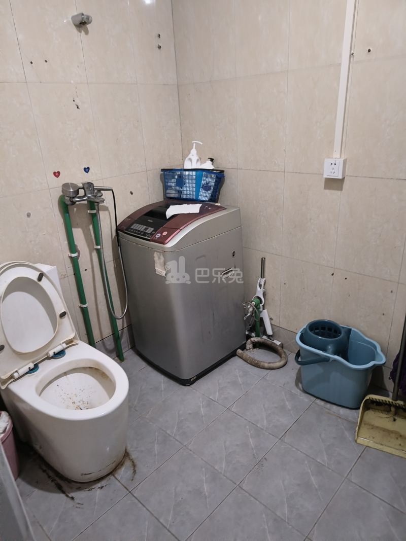 九亭明珠苑（虬泾路99弄）9906388卫生间图4