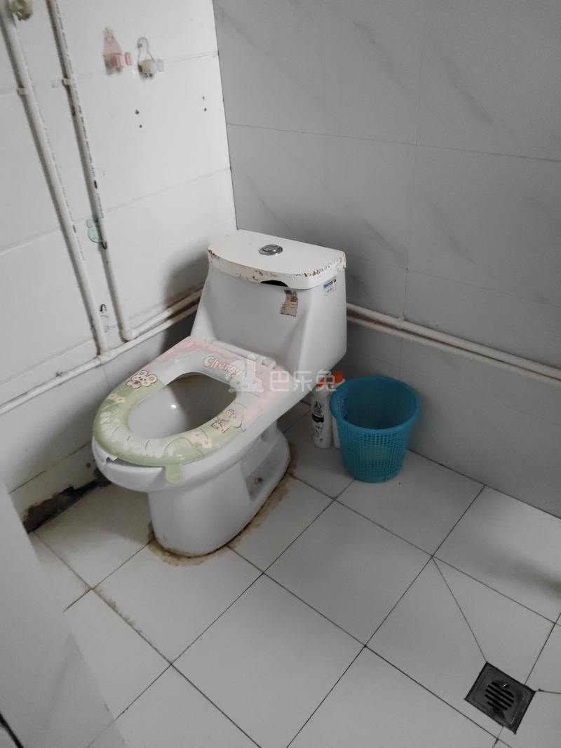 临东家园9912691卫生间图6