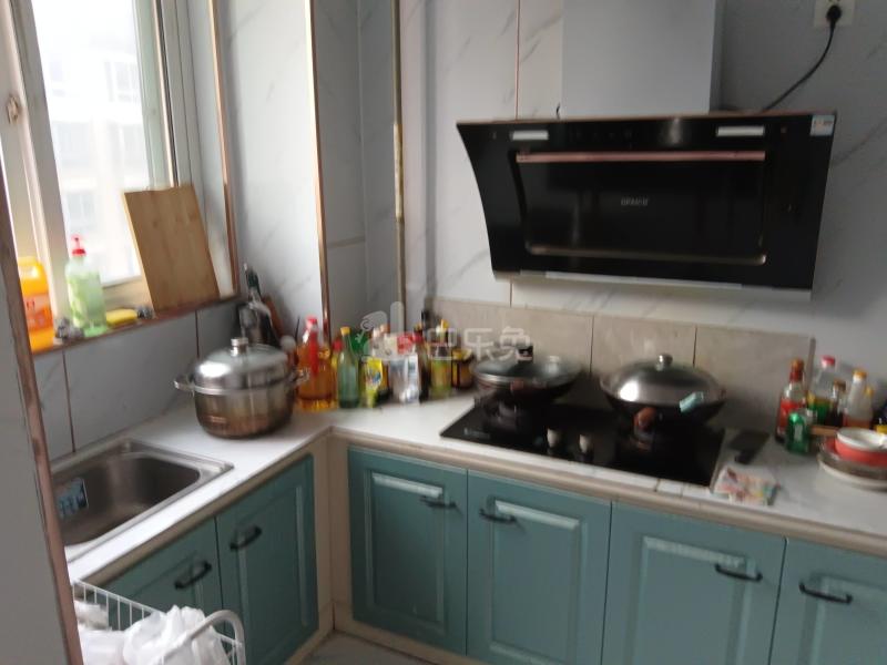 姜夏新村9286145厨房图8