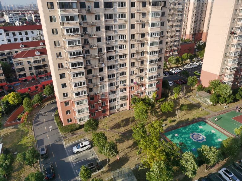 三林新村A区994739周边环境图11