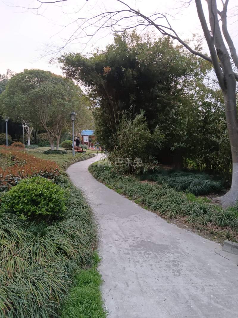 建德花园玫瑰苑9953787周边环境图13