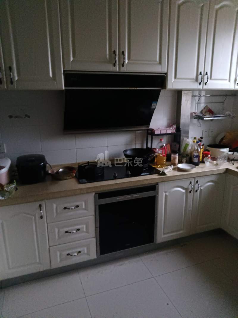 建德花园玫瑰苑9953787厨房图6