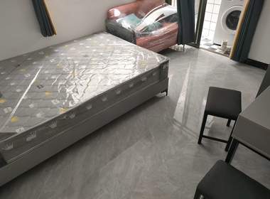 桃源公寓（上社南新大街六巷2号） 1室0厅1卫