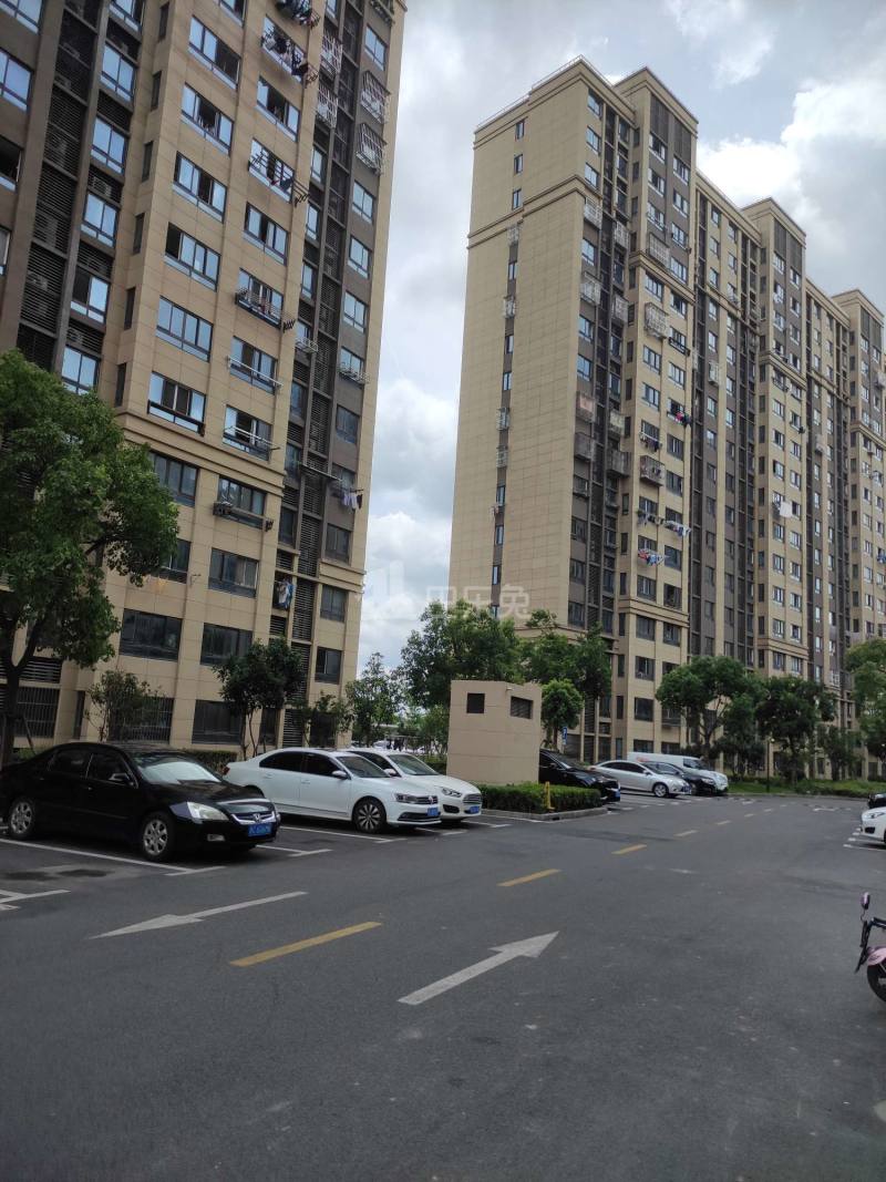 中山文化苑三期中山茸