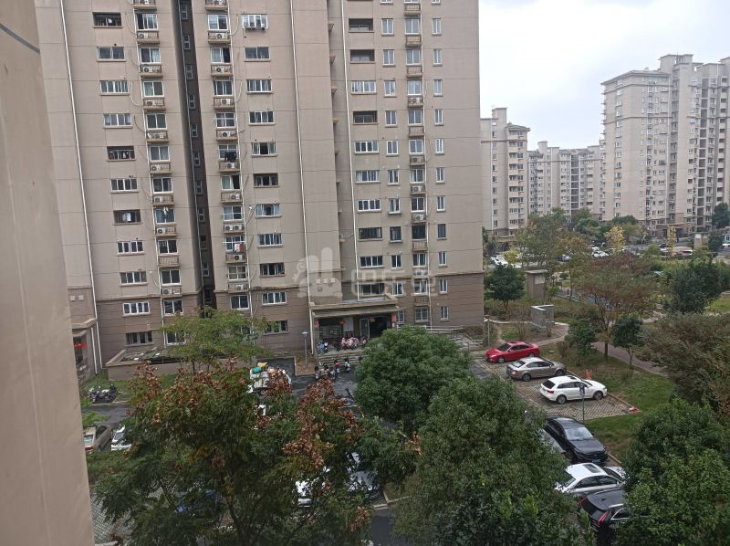 滨浦新苑六村9988272周边环境图7