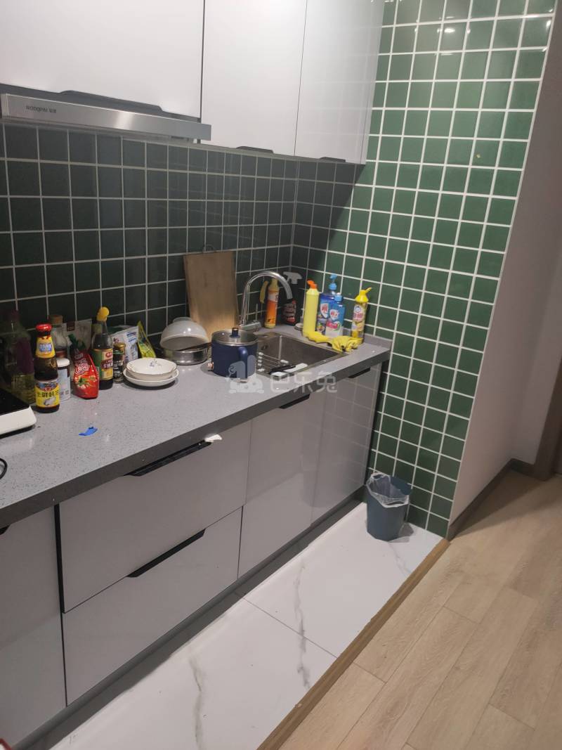 浦江名邸976900厨房图10