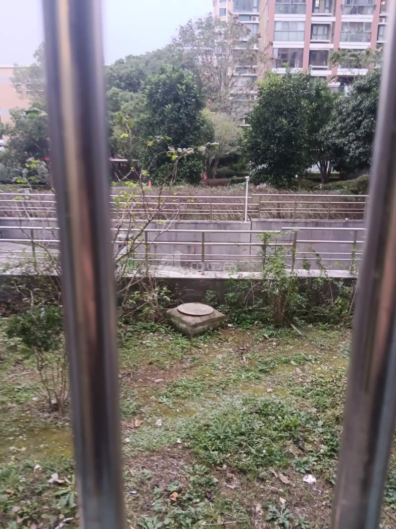 金港花园二期9997455周边环境图6